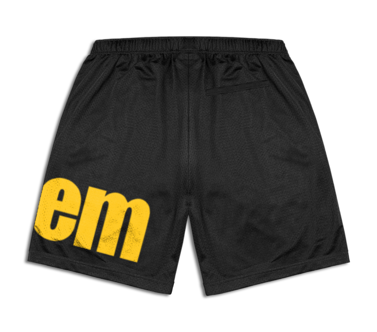 Varsity Shorts